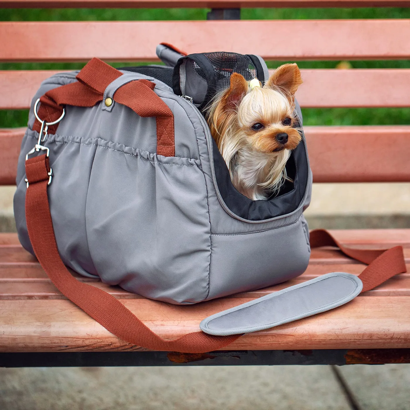 Nylon Webbing for Pet Carriers: Specifying the Strap - detail view supplied by QUANZHOU JUNYUAN BAGS